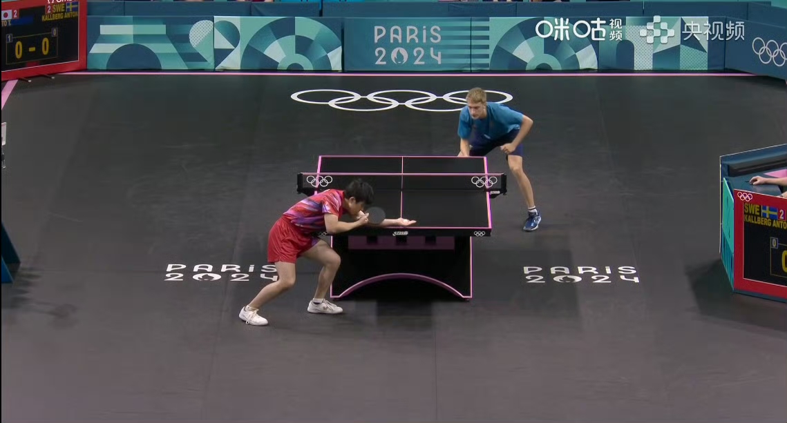 开云体育官网-法国队碾压瑞典队，张本智和点燃赛场的简单介绍
