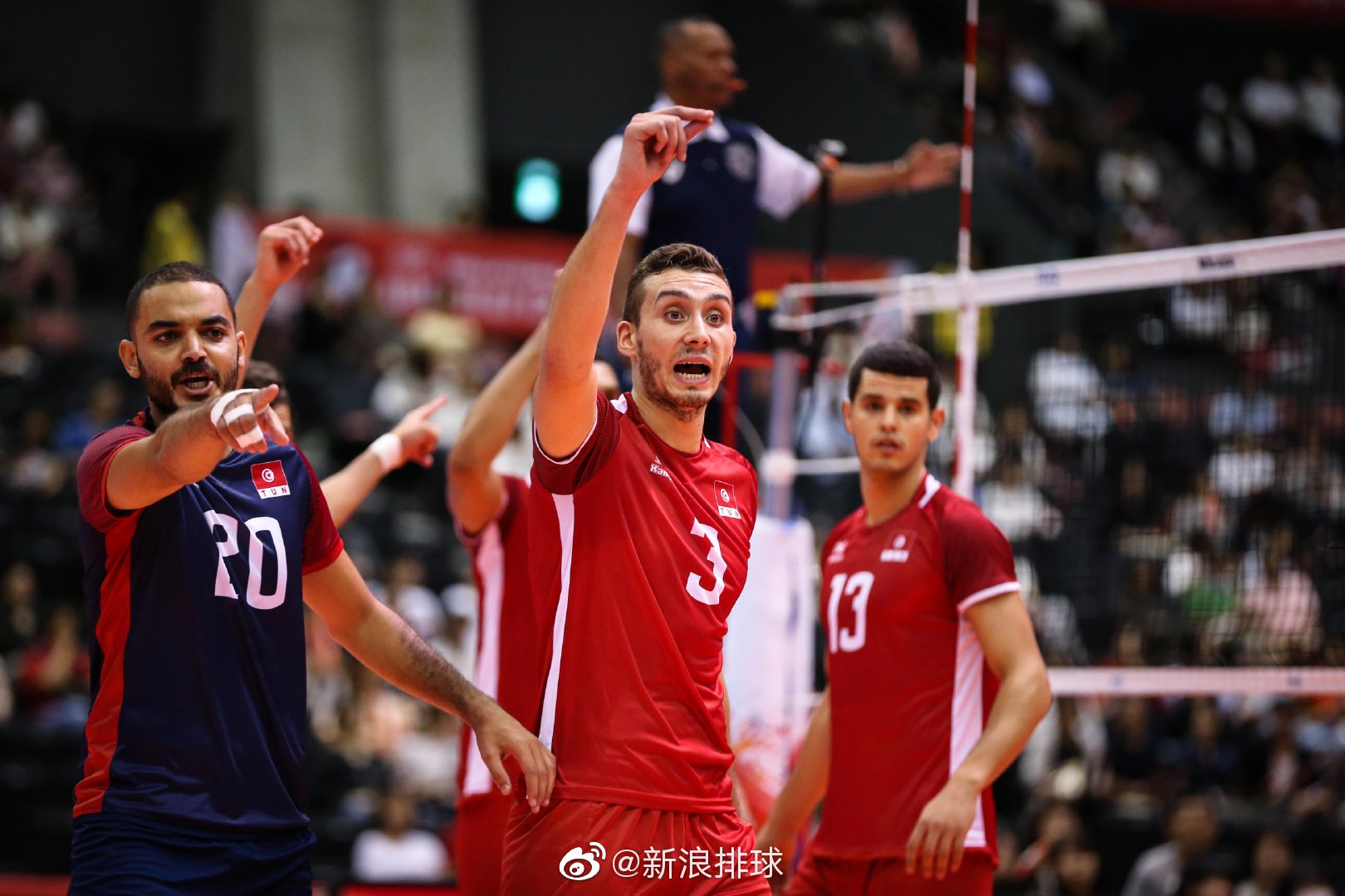 开云体育下载-关于葡萄牙队轻取波兰队，马龙扛起全队的信息